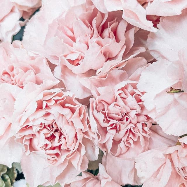 Haircut Hottie at Royal Pain Beauty in Norwich, CT